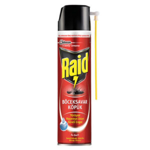 Raid, Ant & Cockroach Killer 300ml