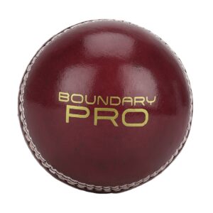 Custom Logo OEM, Cricket Ball