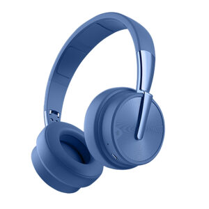 Yongle P47 Wireless Bluetooth Headphones (only blue is available)