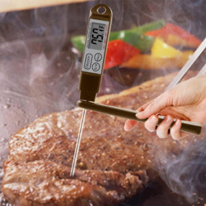 Century Harvest CH-107 Thermapen