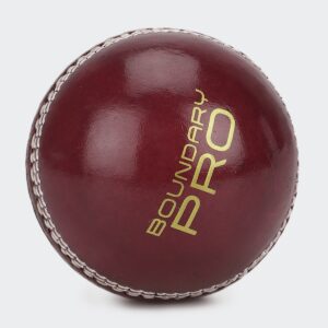 Custom Logo OEM, Cricket Ball